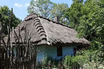 thatched roof house