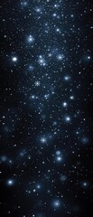 Delicate snowflakes gently falling from the inky black sky, creating a mesmerizing display of twinkling lights , celestial, frosty, ethereal, starry night