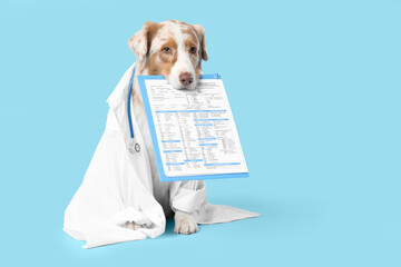 Cute Australian Shepherd dog in doctor's uniform with clipboard on blue background