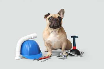 Cute French bulldog with plumber's supplies on light background