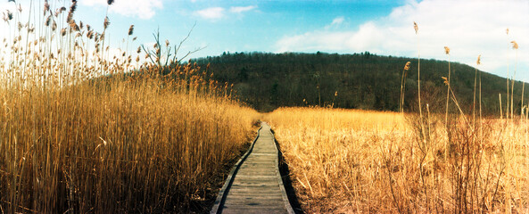 Panoramic image of the Appalachian trail path going through New York State, United States