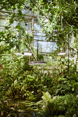 Vertical no people shot of part of botanical garden greenhouse interior with lamps hanging from ceiling, copy space