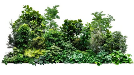 photograph of Forest leaves with trees bushes and shrubs Isolated on white background with cut path, cutout. wide angle lens