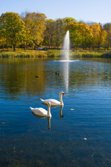 Łabędzie z fontanną 2024 © Krzysiek Cegiełka