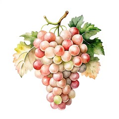 Fototapeta premium Vibrant grape cluster with green leaves for food design