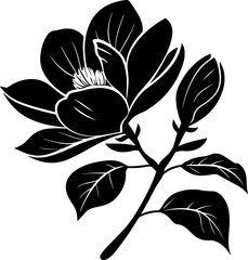 Obraz premium Stylized Black and White Magnolia Illustration