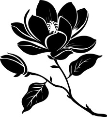 Obraz premium Stylized Black and White Magnolia Illustration
