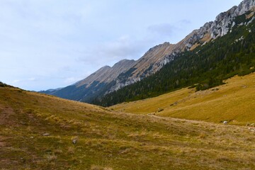 Obraz premium Alpine pasture Dolga Njiva bellow mountain range in Karavanke in Gorenjska, Slovenia
