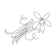 Vanilla spice, orchid flower, drawn in a continuous line in minimalism, Mexican plant, vine pods, in one line, flavor, editable vector contour.