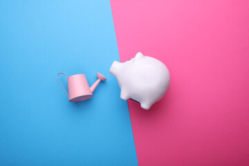 Piggy bank with watering can on blue pink background © splitov27