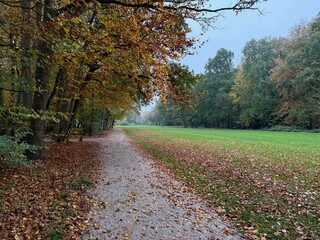 Beautiful view of pathway with fallen leaves in autumn park