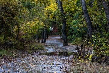 Fall Colors, Bob Jones Trail, Avila Beach, California