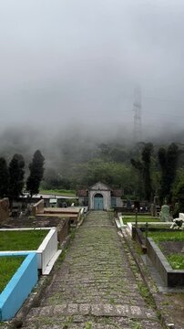 paranapiacaba, cemetery, graveyard, fog, mist, brasil, brazil, church, religion, travel, ancient, old, chapel, historic, tree, grass, grama, cemiterio, viagem, turismo, neblina, nevoa, mata, nature, n