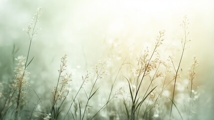 Fototapeta premium A soft, gentle abstract background featuring delicate grasses illuminated by light, creating a serene atmosphere with ample copy space
