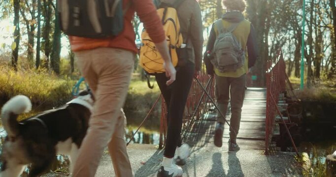 Teen group of hiker friends crossing a bridge with backpacks and a dog during a nature adventure