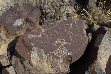 Petroglyphs at Three Rivers Petroglyph Site, New Mexico