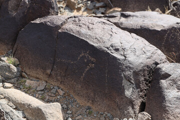Petroglyphs at Three Rivers Petroglyph Site, New Mexico