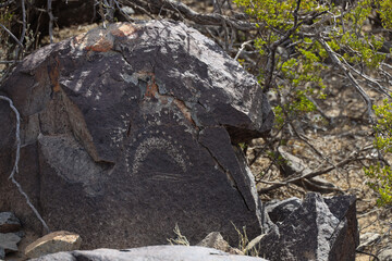 Petroglyphs at Three Rivers Petroglyph Site, New Mexico