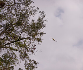 Aerial crop dusting with a plane on adjacent farm land in mid November!