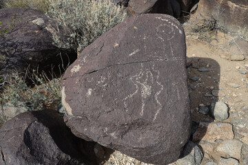 Petroglyphs at Three Rivers Petroglyph Site, New Mexico