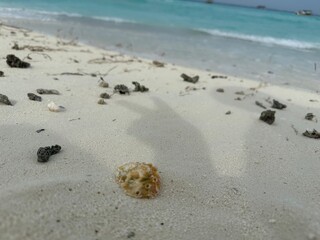 peace sign shadow on the beach, white sand in Maldives