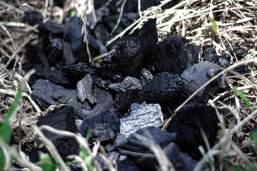 coal nest in the grass