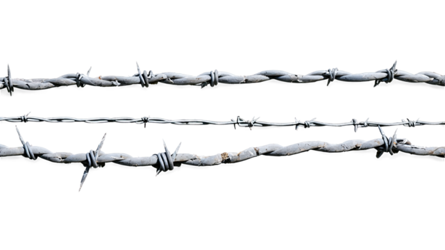 Barbed Wire Strands Isolated and Transparent
