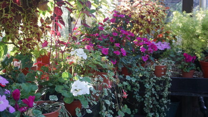 Flowers, art and museum