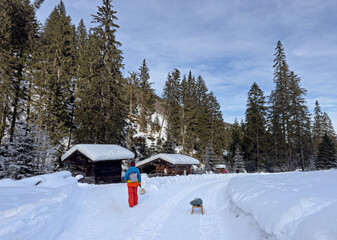 Woman walking with pomeranian spitz play in the snow