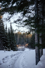 Beautiful winter view in the park.  Algonquin Park, Canada.