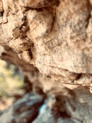 Close-up of sandstone overhang, Red River Gorge, Kentucky