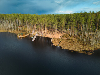 Fototapety na wymiar - Fototapeta24.pl