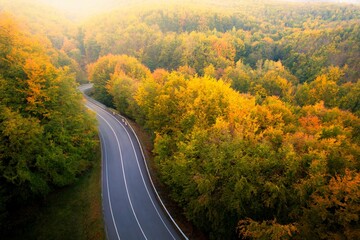 Winding road through autumn forest
