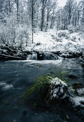 Serene winter stream landscape