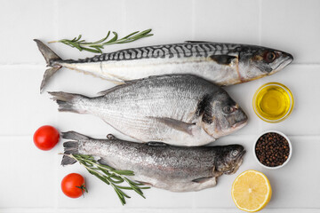Sea food. Different types of raw fish and products on white tiled table, flat lay
