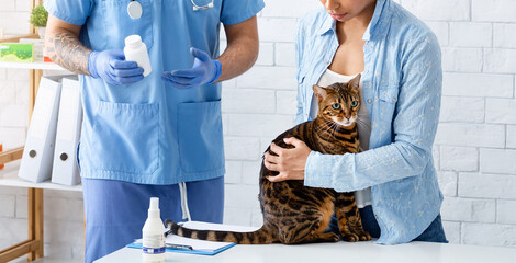 Client with cute tabby cat and man veterinarian in pet clinic