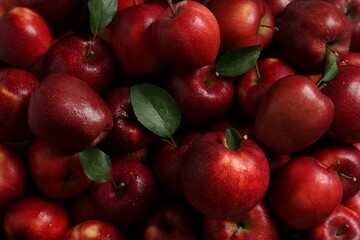 Fresh ripe red apples and green leaves as background, top view