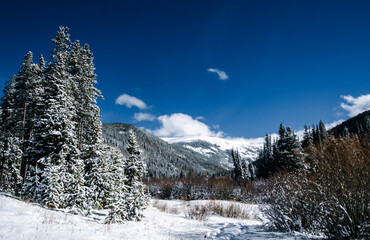 a fresh snow covered mountain scene with a brilliant blue sky. Winter Park, CO