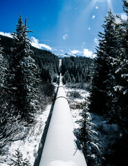 a water pipeline through a freshly snow covered forest. Winter Park, CO 