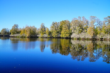 Winter Landscape of Hillsborough river at Lettuce lake park	
