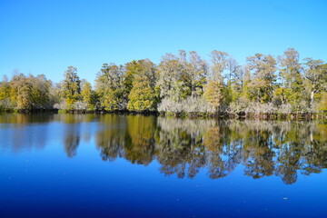 Winter Landscape of Hillsborough river at Lettuce lake park	
