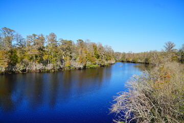 Winter Landscape of Hillsborough river at Lettuce lake park	
