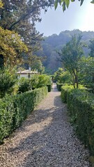 footpath in the park