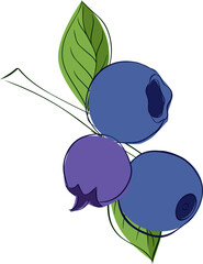 Wild blueberry branch with green leaves vector graphic line composition new year winter holiday abstract