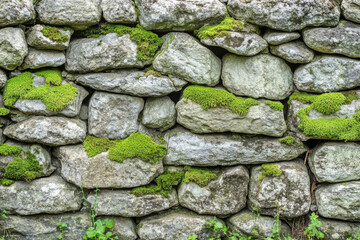 Fototapeta premium Moss-covered stone texture, showcasing lush green layers of moss growing unevenly over weathered, rough gray rock, detailed and organic