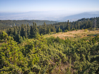 Panorama of Vitosha Mountain, Bulgaria