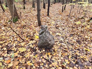 Herbstblätter mit Steinformation im Plänterwald in Berlin Treptow