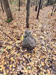 Herbstblätter mit Steinformation im Plänterwald in Berlin Treptow