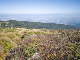 Panorama of Vitosha Mountain, Bulgaria