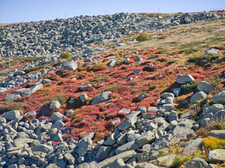 Panorama of Vitosha Mountain, Bulgaria